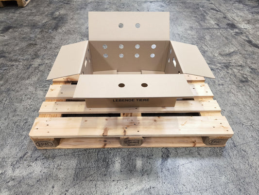 Faltkarton  585 x 390 x 270 mm W2